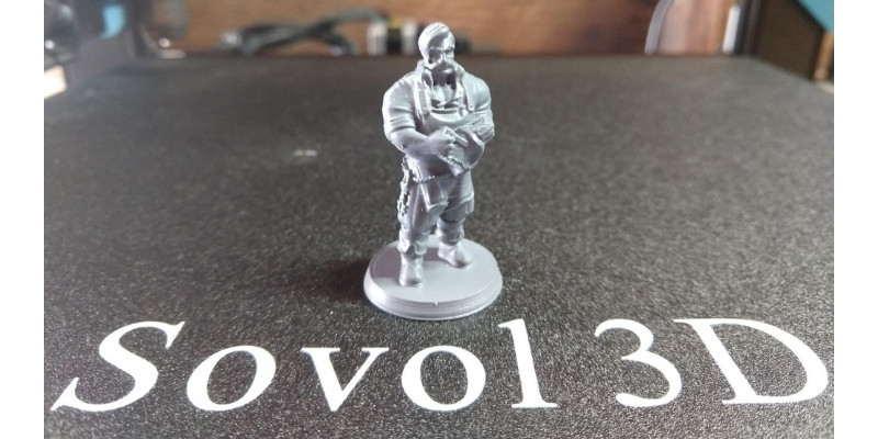 Sovol SV01 Pro precision test 3D printing a miniature