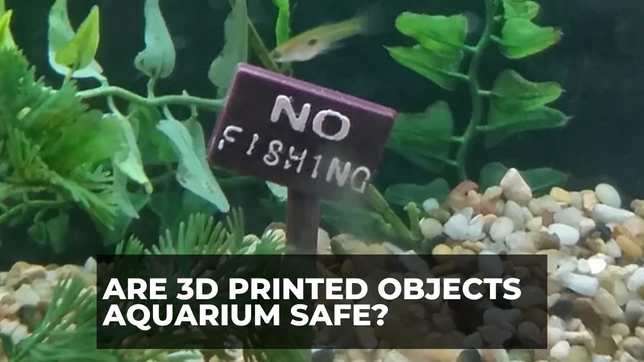 Are 3D Printed Objects Aquarium Safe
