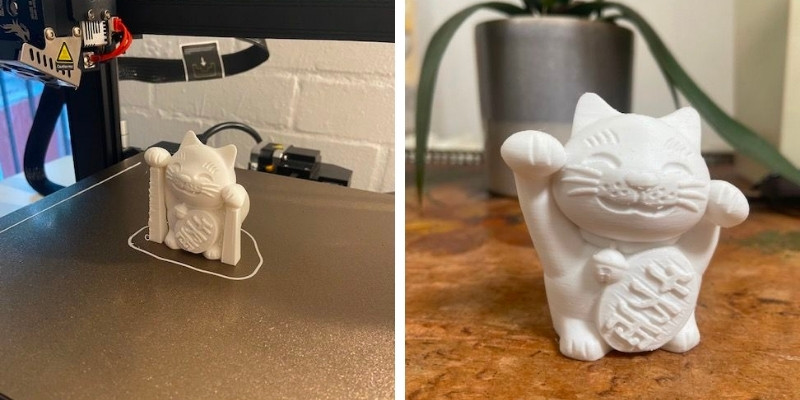 Ender 3 S1 Pro test 3D print of a cat