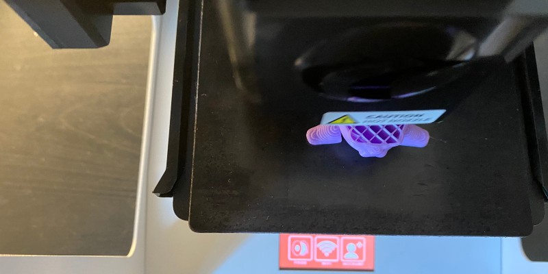 Displays a top-down image of the printer pet being printed