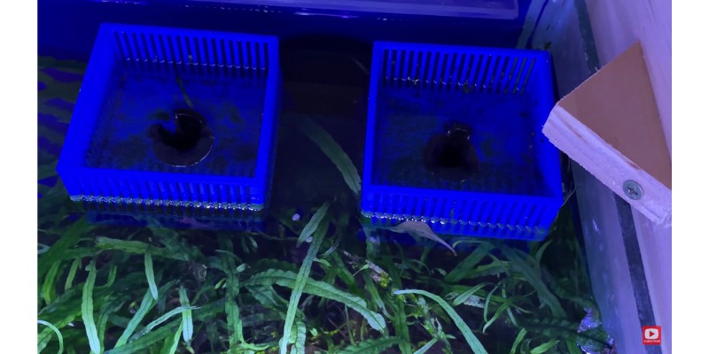 3D printed Aquarium Overflow Box made with ABS filament