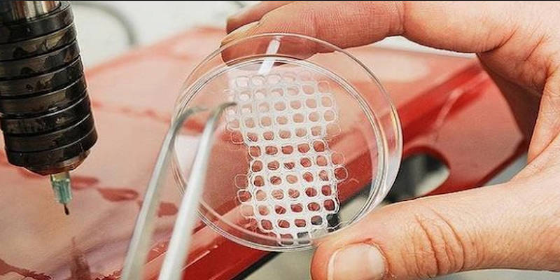 3D Printed Skin Cells