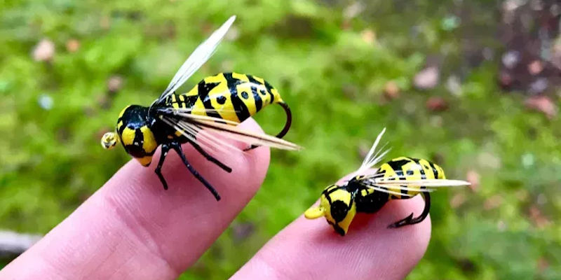 Wasp Lures 2