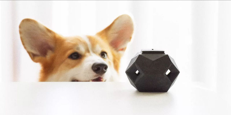 3D Printed Dog Toys