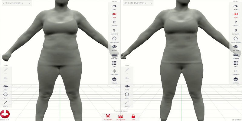 A body in 3D modeling software